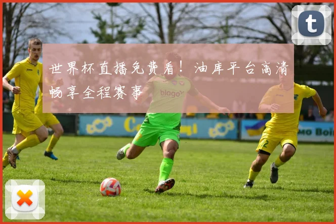 世界杯直播免费看!油库平台高清畅享全程赛事