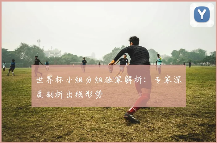世界杯小组分组独家解析:专家深度剖析出线形势