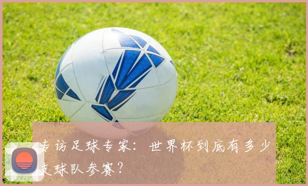 专访足球专家:世界杯到底有多少支球队参赛?