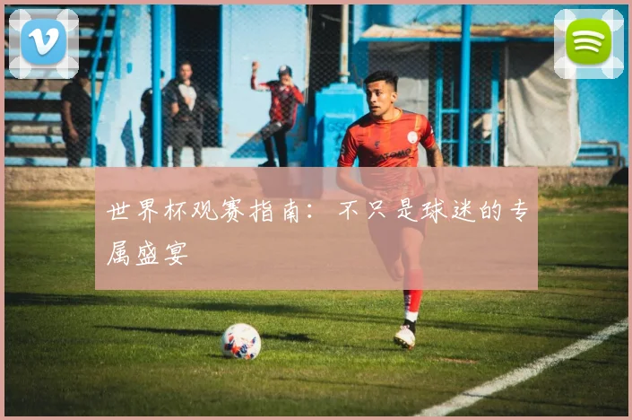 世界杯观赛指南：不只是球迷的专属盛宴
