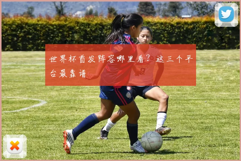 世界杯首发阵容哪里看?这三个平台最靠谱