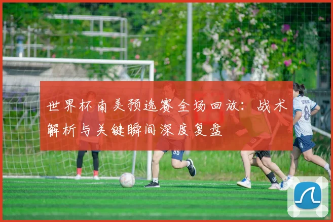 世界杯南美预选赛全场回放：战术解析与关键瞬间深度复盘