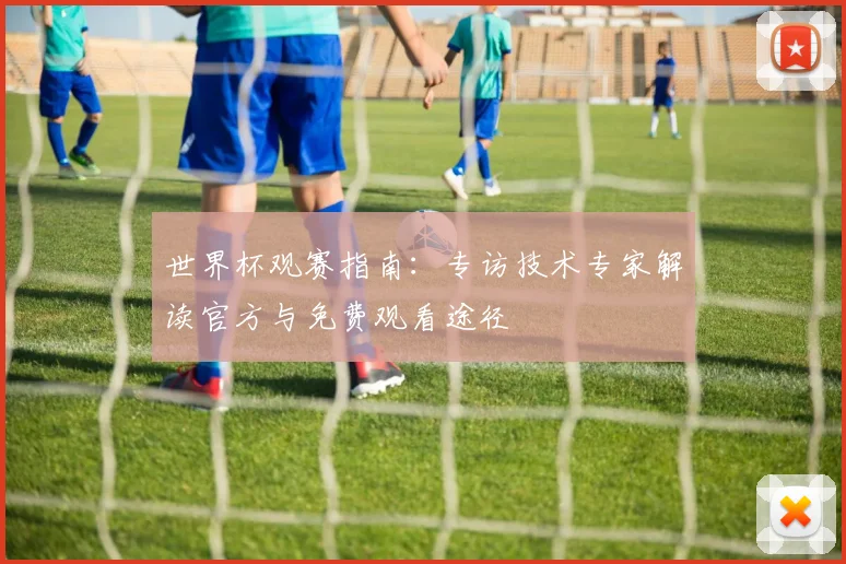 世界杯观赛指南:专访技术专家解读官方与免费观看途径