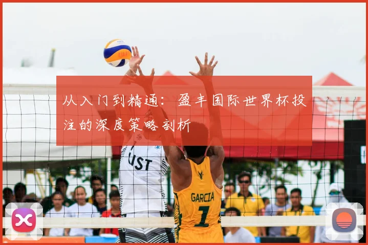 从入门到精通：盈丰国际世界杯投注的深度策略剖析