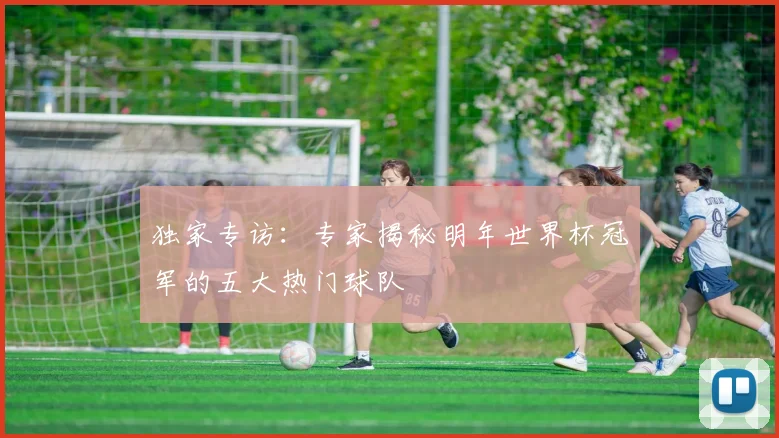 独家专访：专家揭秘明年世界杯冠军的五大热门球队